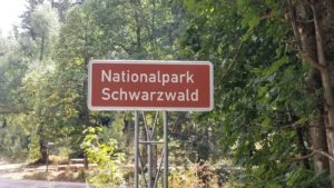 1. Der Schware Wald