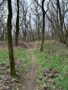 2. Viele Steigungen und Kurven