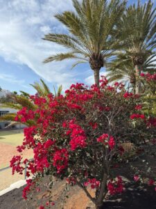 7. Immer wieder schön